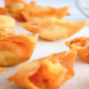 Fried Wontons (6)